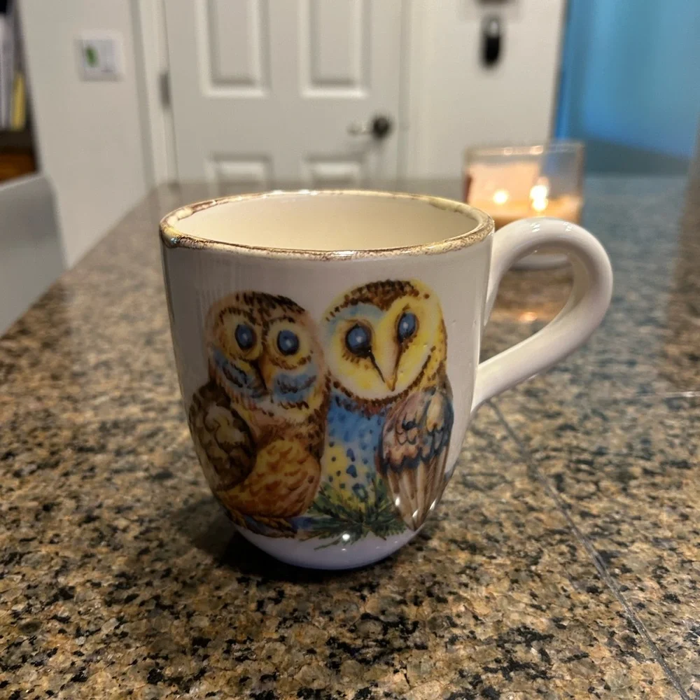 Sur La Table Owl Design Mug - Blue and Brown